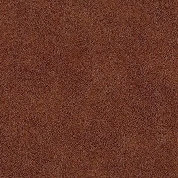 Elite NK KL Bayan Kuaför Koltuğu Kuzu 7387