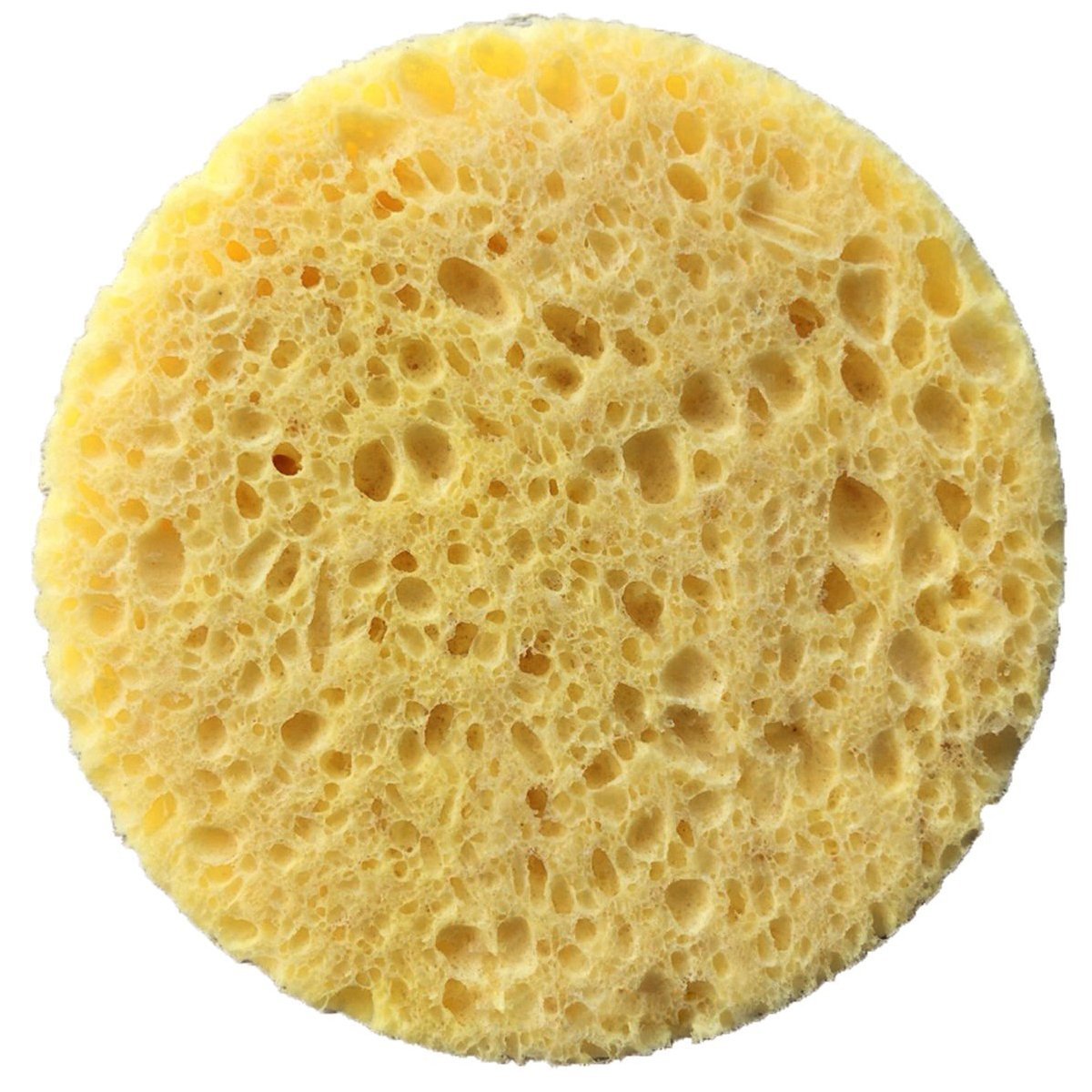 2'li Cilt Bakım Süngeri Yüz Temizleme Süngeri