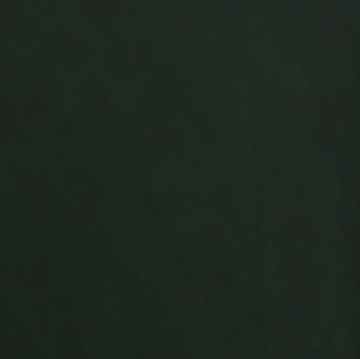 Celine SL Bayan Kuaför Koltuğu Nw Alvaro 460